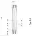 Fig. 24 - Membrane-membrane reinforcing member assembly, membrane-catalyst layer assembly, membrane-electrode assembly, polymer electrolyte fuel cell, and method for manufacturing membrane-electrode assembly
