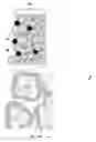 Fig. 02 - FUEL CELL COMPRISING OXYGEN ELECTRODE WITH SURFACE NANOSTRUCTURE