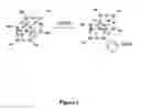 Fig. 04 - IMPROVED FUEL CELL PROTON EXCHANGE MEMBRANES