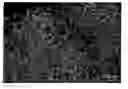 Fig. 01 - DISPERSION OF COMPOSITE MATERIALS, IN PARTICULAR FOR FUEL CELLS