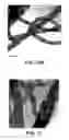 Fig. 09 - DISPERSION OF COMPOSITE MATERIALS, IN PARTICULAR FOR FUEL CELLS