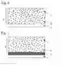 Fig. 04 - Photoreceptor for electrophotography