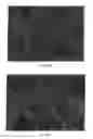 Fig. 08 - TONER, METHOD FOR PRODUCING TONER, TWO COMPONENT DEVELOPER, AND IMAGE FORMING APPARATUS