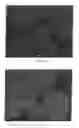 Fig. 11 - TONER, METHOD FOR PRODUCING TONER, TWO COMPONENT DEVELOPER, AND IMAGE FORMING APPARATUS