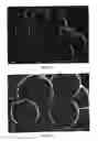 Fig. 15 - TONER, METHOD FOR PRODUCING TONER, TWO COMPONENT DEVELOPER, AND IMAGE FORMING APPARATUS