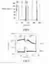 Fig. 05 - In vitro method modeling the consistency generated in vivo by food during the digestion thereof