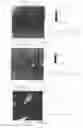 Fig. 15 - RAPID TEST INCLUDING GENETIC SEQUENCE PROBE