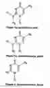 Fig. 06 - Nucleic acid base pairs