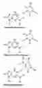 Fig. 08 - Nucleic acid base pairs