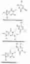 Fig. 09 - Nucleic acid base pairs