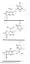 Fig. 11 - Nucleic acid base pairs