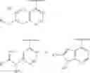 Fig. 06 - METHOD FOR PREDICTION OF THE EFFICACY OF VASCULARIZATION INHIBITOR