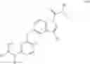 Fig. 13 - METHOD FOR PREDICTION OF THE EFFICACY OF VASCULARIZATION INHIBITOR