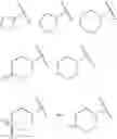 Fig. 14 - METHOD FOR PREDICTION OF THE EFFICACY OF VASCULARIZATION INHIBITOR