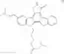 Fig. 22 - METHOD FOR PREDICTION OF THE EFFICACY OF VASCULARIZATION INHIBITOR