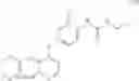 Fig. 24 - METHOD FOR PREDICTION OF THE EFFICACY OF VASCULARIZATION INHIBITOR