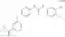 Fig. 34 - METHOD FOR PREDICTION OF THE EFFICACY OF VASCULARIZATION INHIBITOR