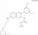 Fig. 50 - METHOD FOR PREDICTION OF THE EFFICACY OF VASCULARIZATION INHIBITOR
