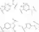 Fig. 65 - METHOD FOR PREDICTION OF THE EFFICACY OF VASCULARIZATION INHIBITOR