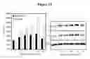 Fig. 23 - Detecting and treating dementia