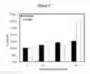 Fig. 28 - Detecting and treating dementia