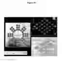 Fig. 12 - ELECTROLUMINESCENT-BASED FLUORESCENCE DETECTION DEVICE
