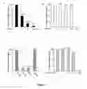 Fig. 06 - SIR2 Activity