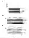 Fig. 12 - SIR2 Activity