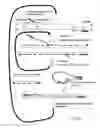 Fig. 07 - Methods for amplifying and detecting nucleic acid sequences