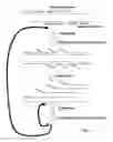 Fig. 14 - Methods for amplifying and detecting nucleic acid sequences