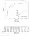 Fig. 05 - LABEL-FREE COLORIMETRIC DETECTION