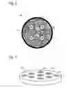 Fig. 04 - MICROFLUIDIC SYSTEMS INCLUDING POROUS POLYMER ELECTRODES