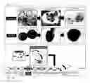 Fig. 07 - METHODS FOR MODULATING EMBRYONIC STEM CELL DIFFERENTIATION