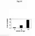 Fig. 02 - METHODS OF DIAGNOSING CARDIOVASCULAR DISEASE
