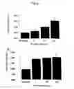 Fig. 04 - METHODS OF DIAGNOSING CARDIOVASCULAR DISEASE