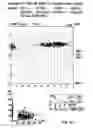 Fig. 07 - Method for the Simultaneous Determination of Blood Group and Platelet Antigen Genotypes