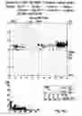Fig. 08 - Method for the Simultaneous Determination of Blood Group and Platelet Antigen Genotypes