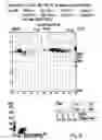 Fig. 16 - Method for the Simultaneous Determination of Blood Group and Platelet Antigen Genotypes