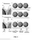 Fig. 02 - APTAMER BASED SENSORS AND RELATED METHODS AND SYSTEMS