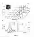 Fig. 03 - APTAMER BASED SENSORS AND RELATED METHODS AND SYSTEMS