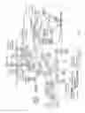 Fig. 04 - GENE EXPRESSION IN DUCHENNE MUSCULAR DYSTROPHY
