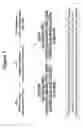 Fig. 02 - Tissue Rejection