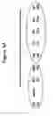 Fig. 06 - Tissue Rejection