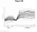 Fig. 07 - Tissue Rejection
