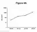 Fig. 08 - Tissue Rejection