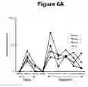 Fig. 13 - Tissue Rejection