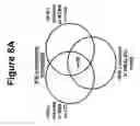Fig. 16 - Tissue Rejection