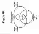 Fig. 17 - Tissue Rejection