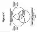 Fig. 18 - Tissue Rejection