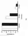 Fig. 08 - METHOD FOR DETECTING HUMAN PARVOVIRUS ANTIGEN